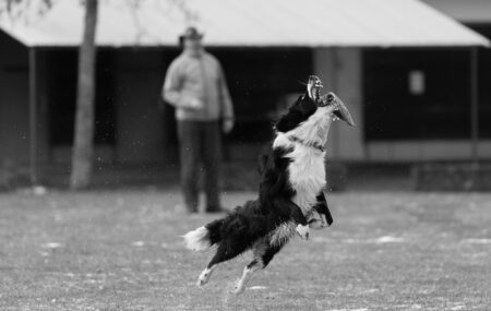 Flynn