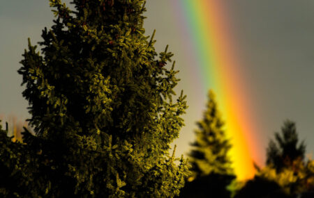 Regenbogen am Heiligen Abend