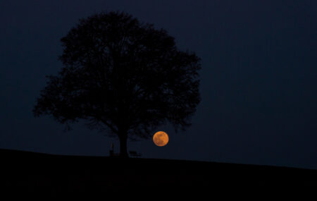 Vollmond 19.02.2019